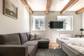 Cozy apartment in the heart of Visby in Visby